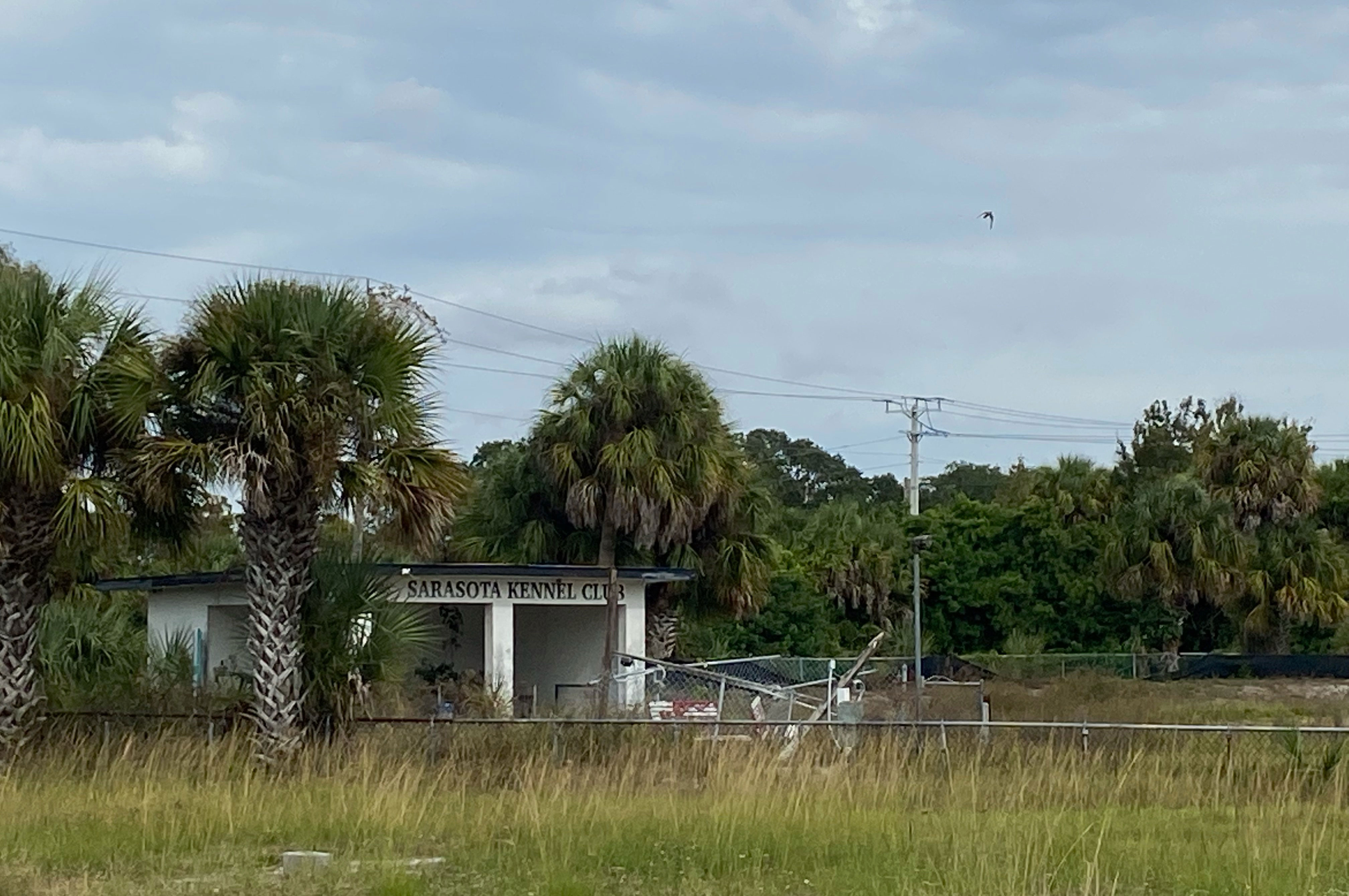 Overgrown Sarasota Greyhound Track