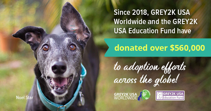 GREY2K has donated $475,000 to adoption efforts across the globe