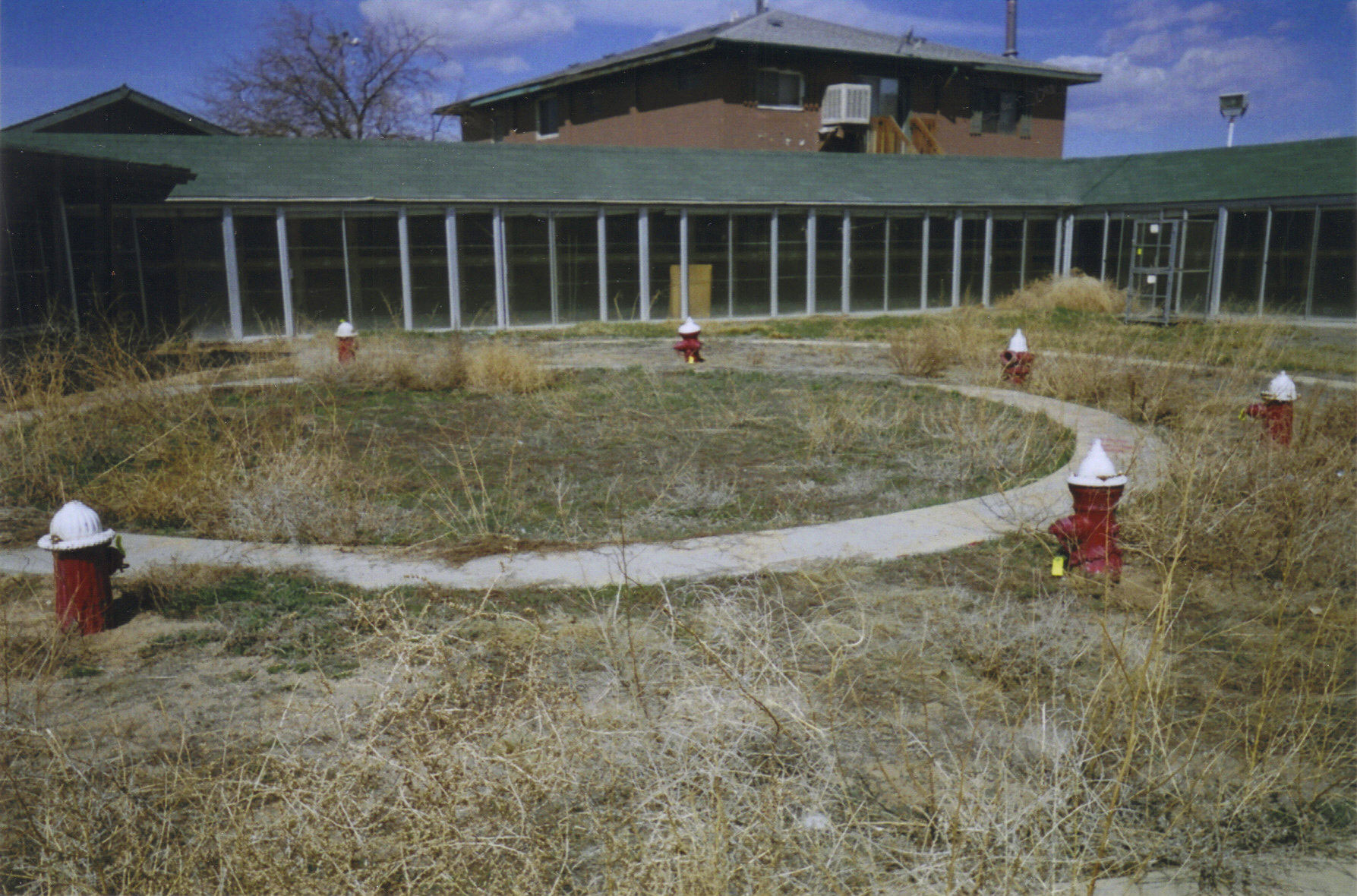 Overgrown Cloverleaf Kennel Club