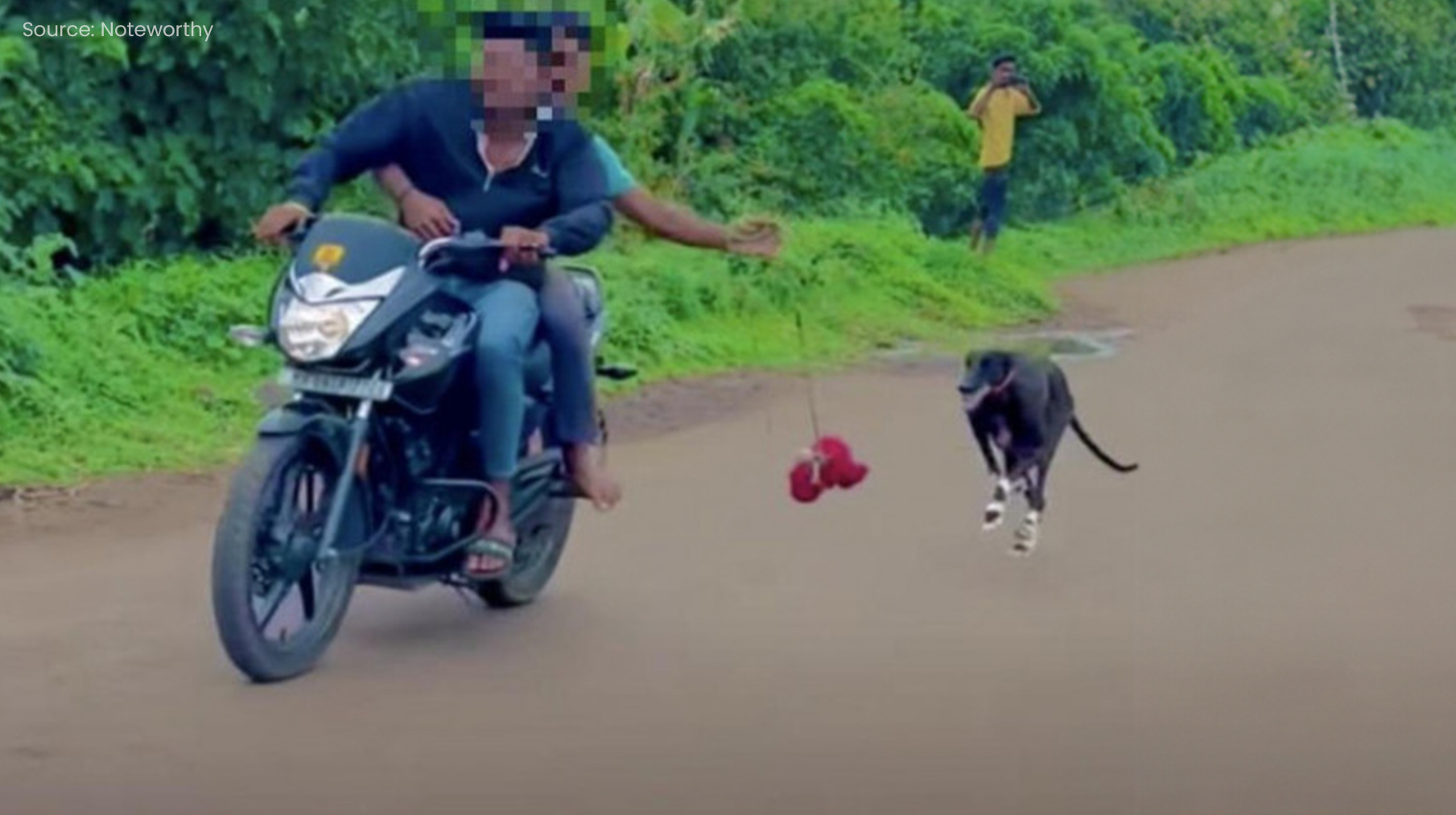 Ask India to stop illegal motorcycle-dog races