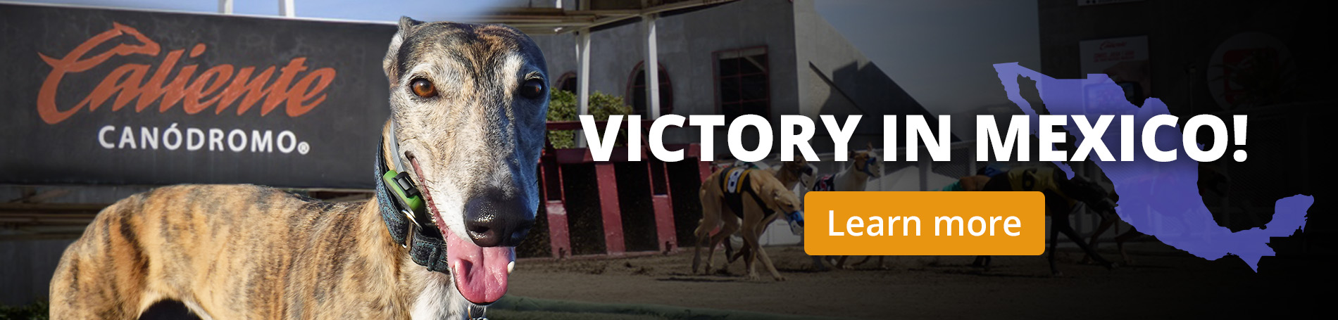 Learn more about the Greyhound Protection Act